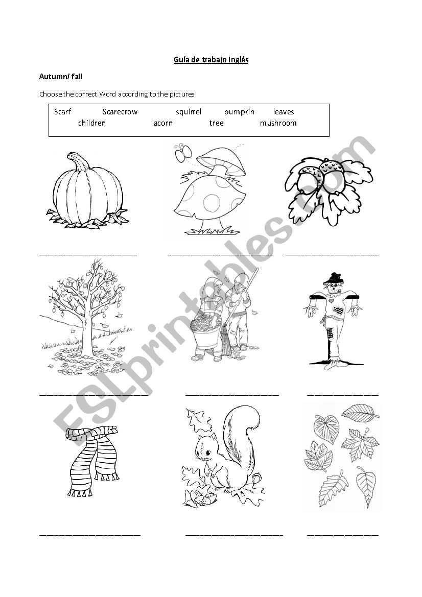 autumn worksheet