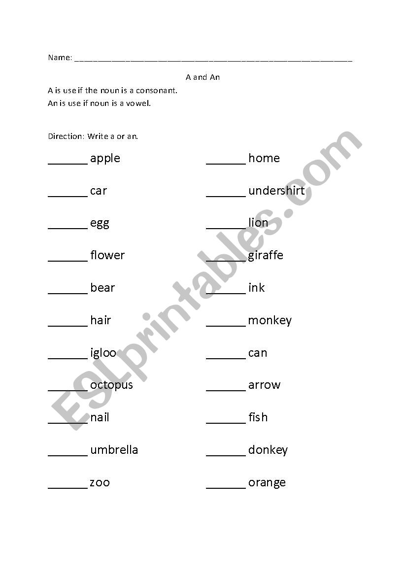 a and an worksheet