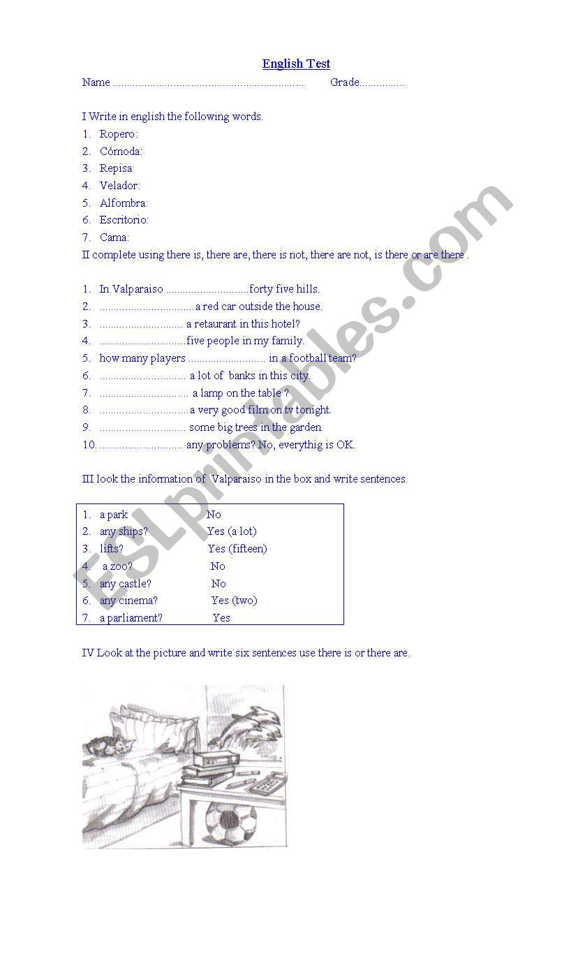 test there is and there are  worksheet