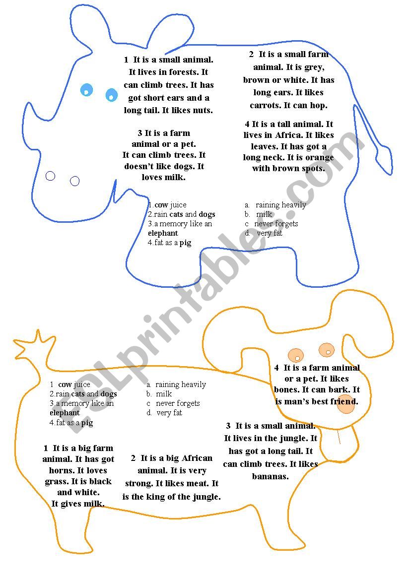 Animals - riddles and idioms worksheet