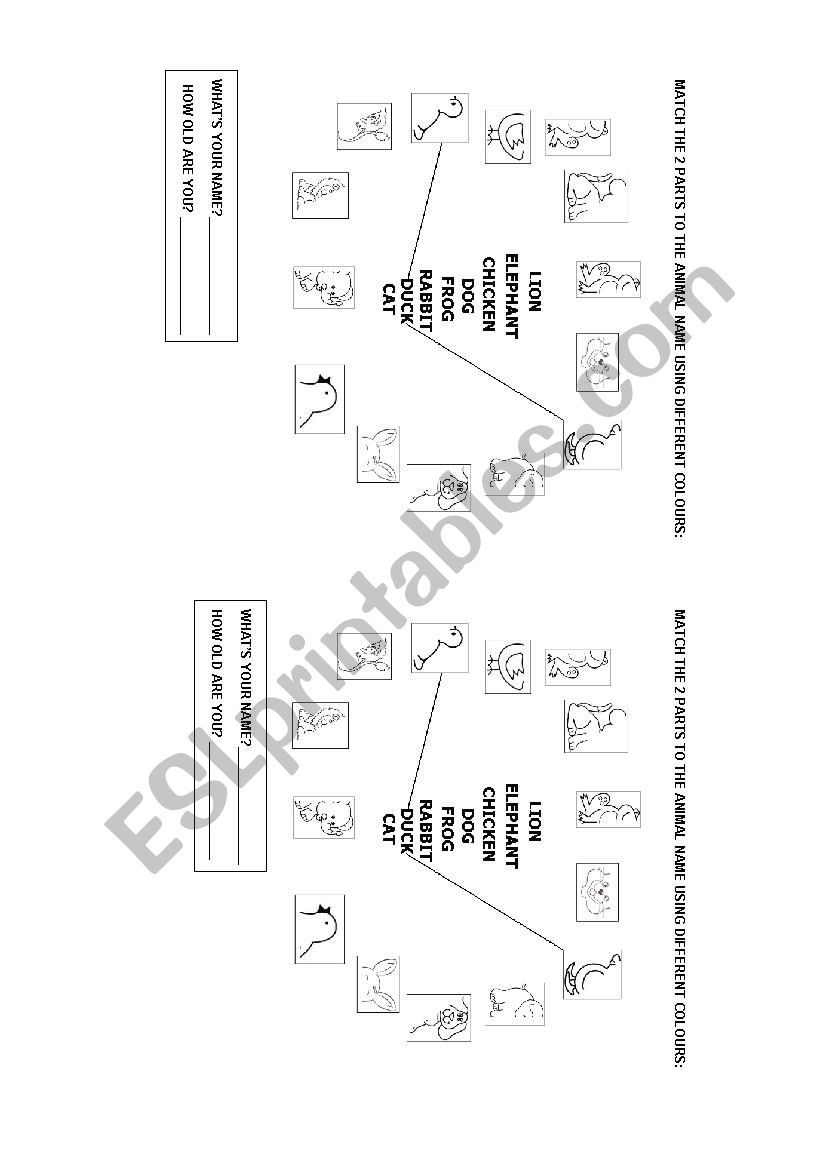 animals worksheet