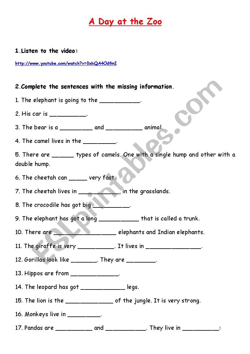 A day at the zoo worksheet