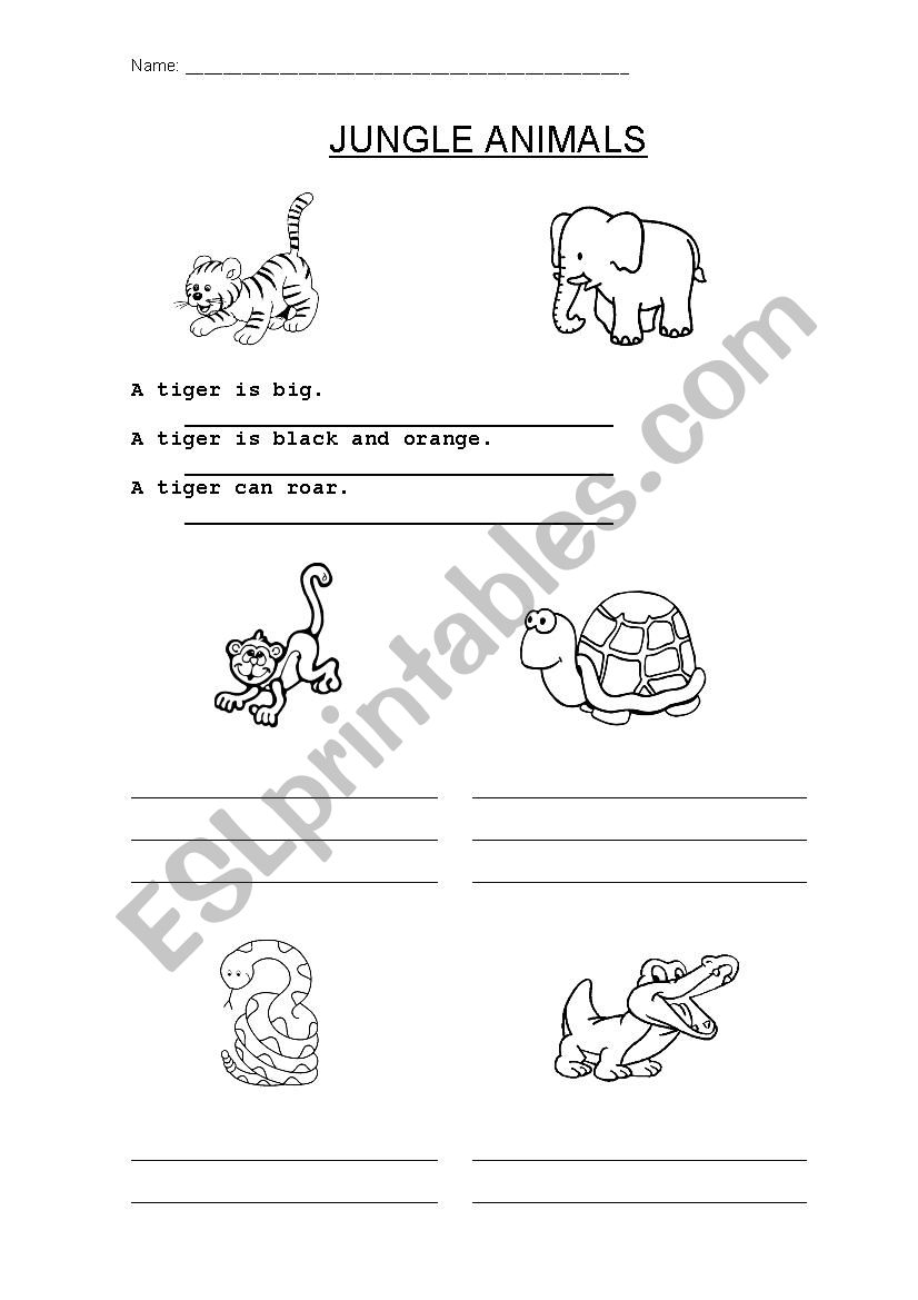 Jungle animals worksheet