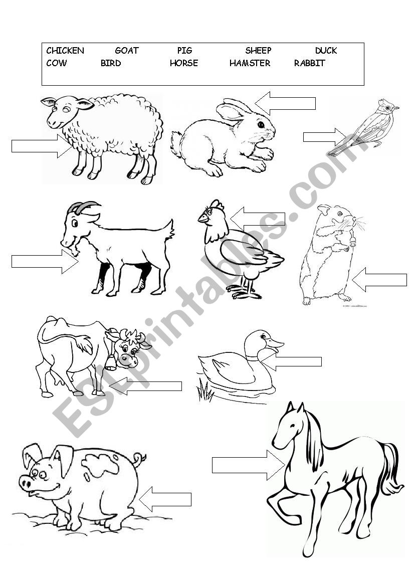 farm animals worksheet