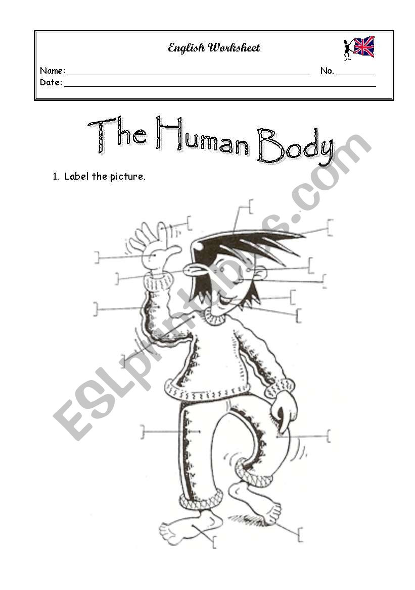 Human Body - label worksheet