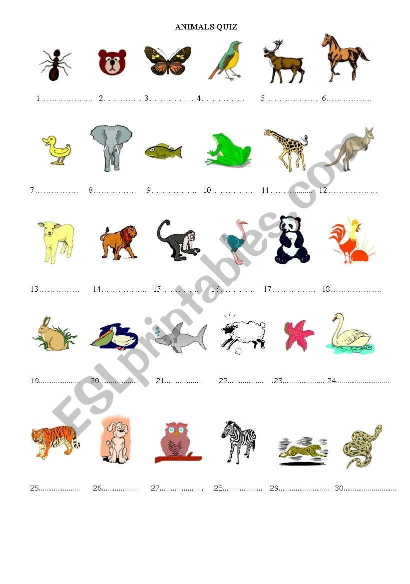 animals quiz worksheet