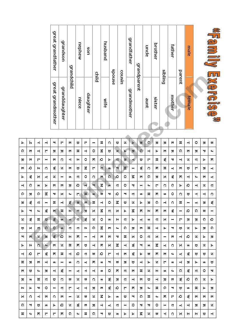 Family Vocabulary Exercise worksheet