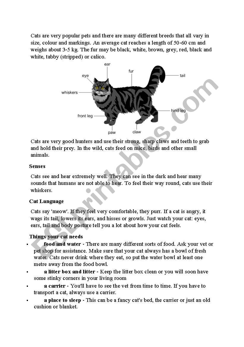 Cats worksheet