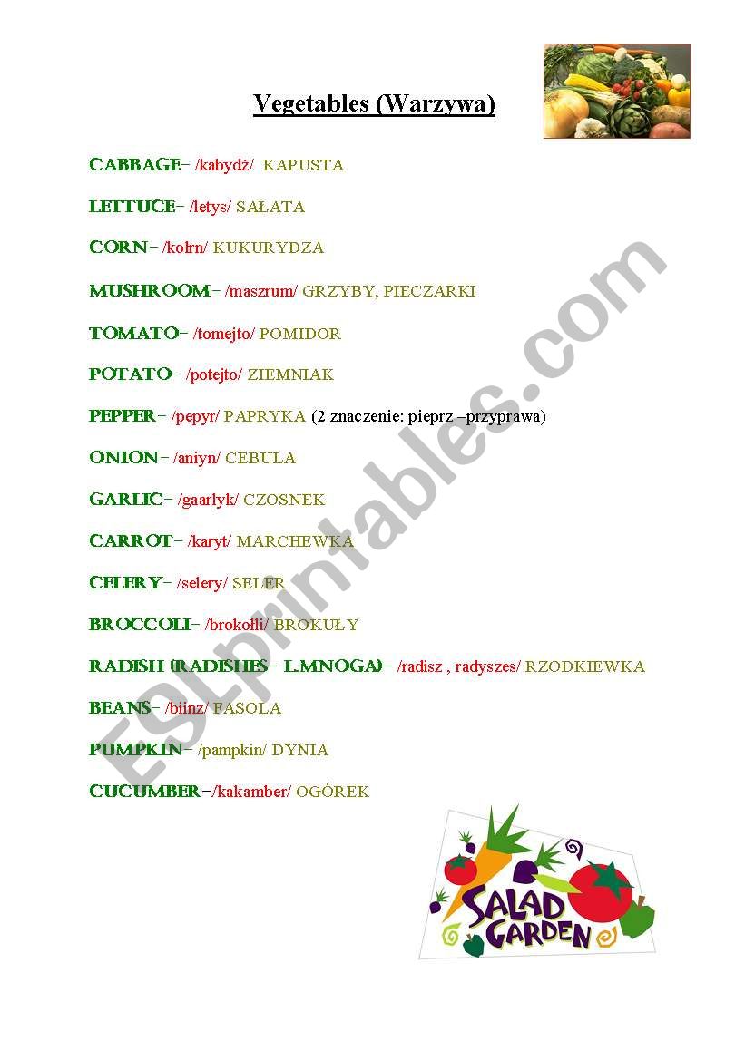vegetables worksheet