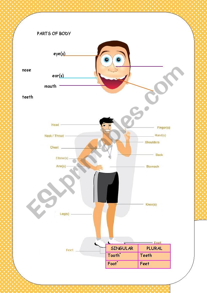 Body parts and ilnesses worksheet