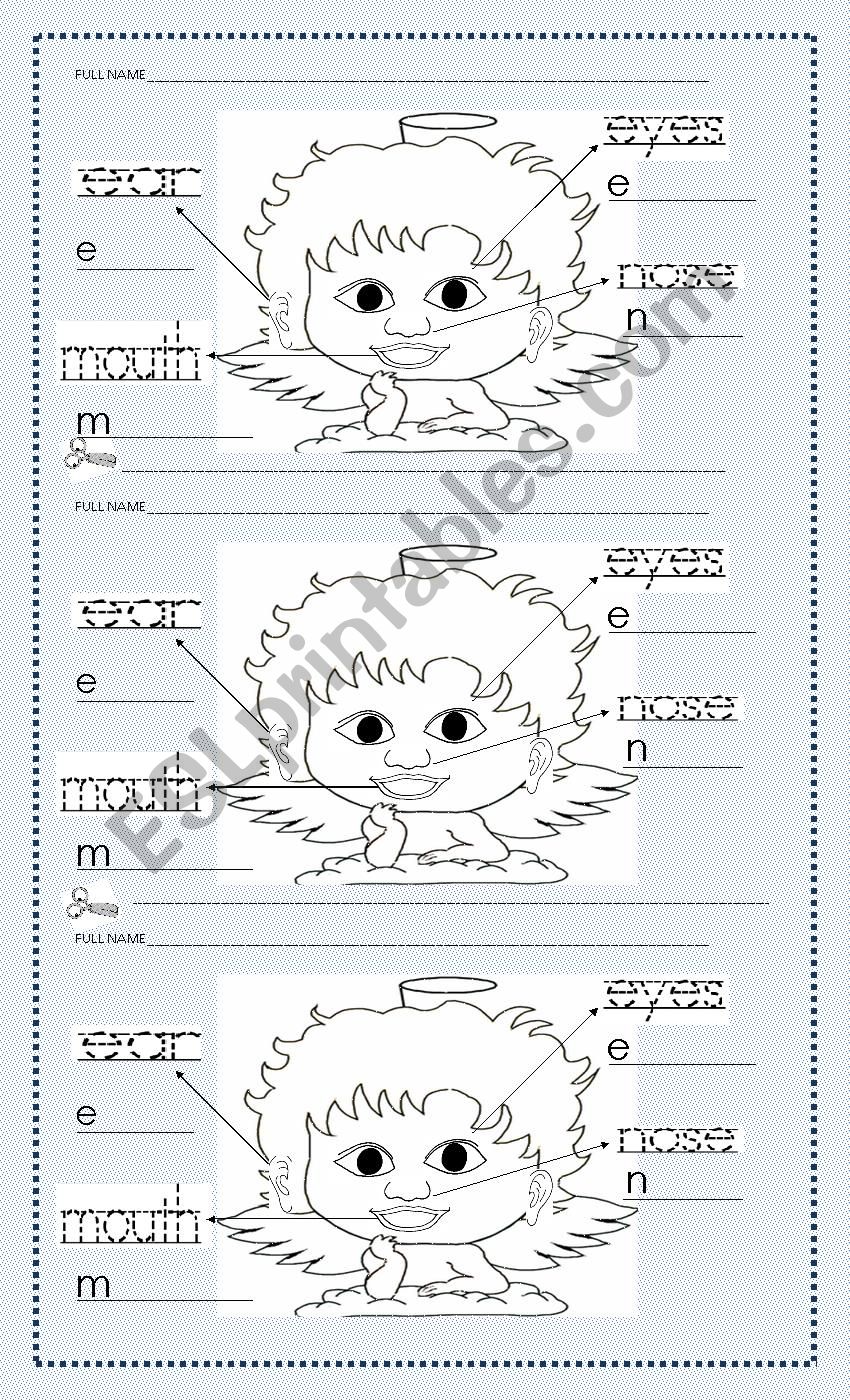 face parts worksheet