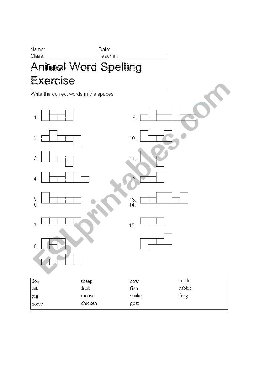 animals speling worksheet