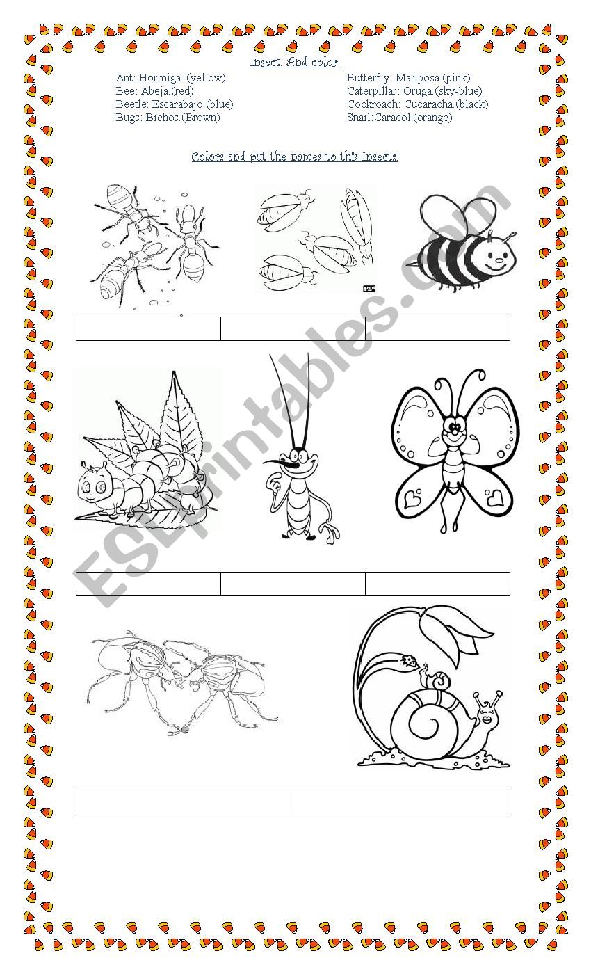 Colours and Insects worksheet