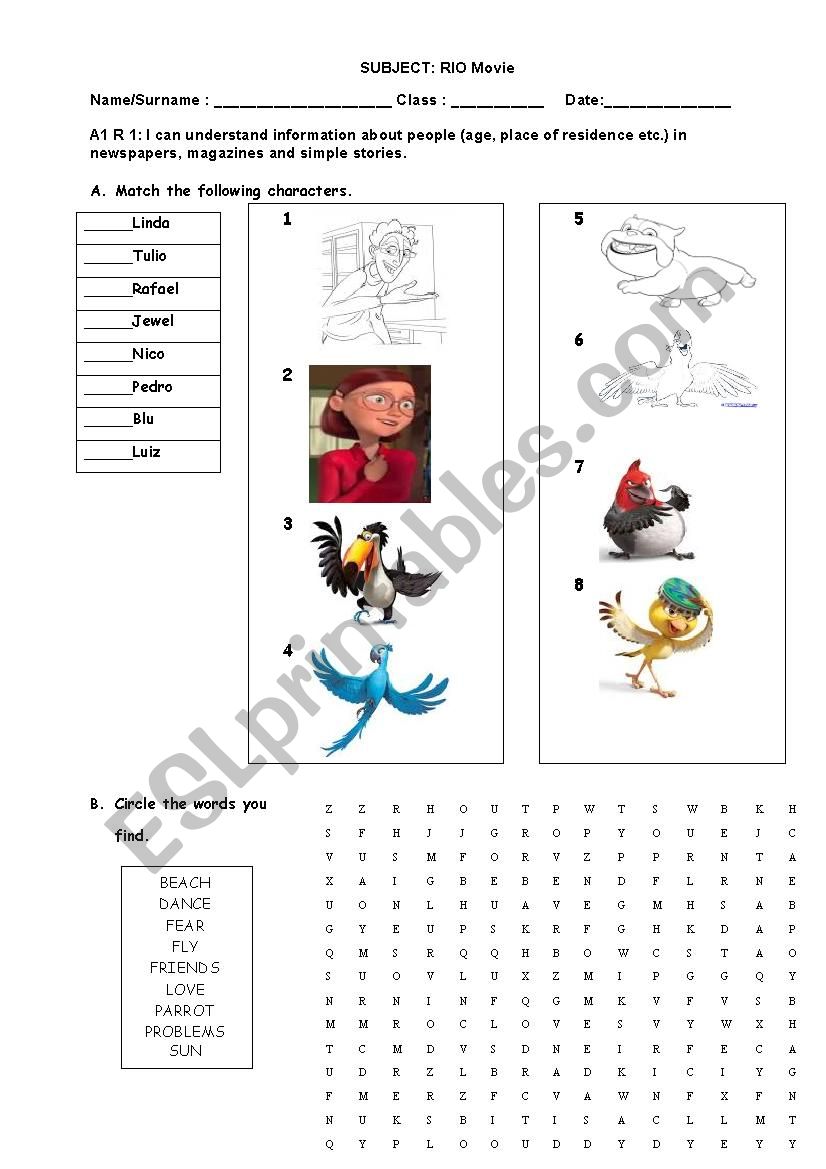 RIO Movie Worksheet worksheet