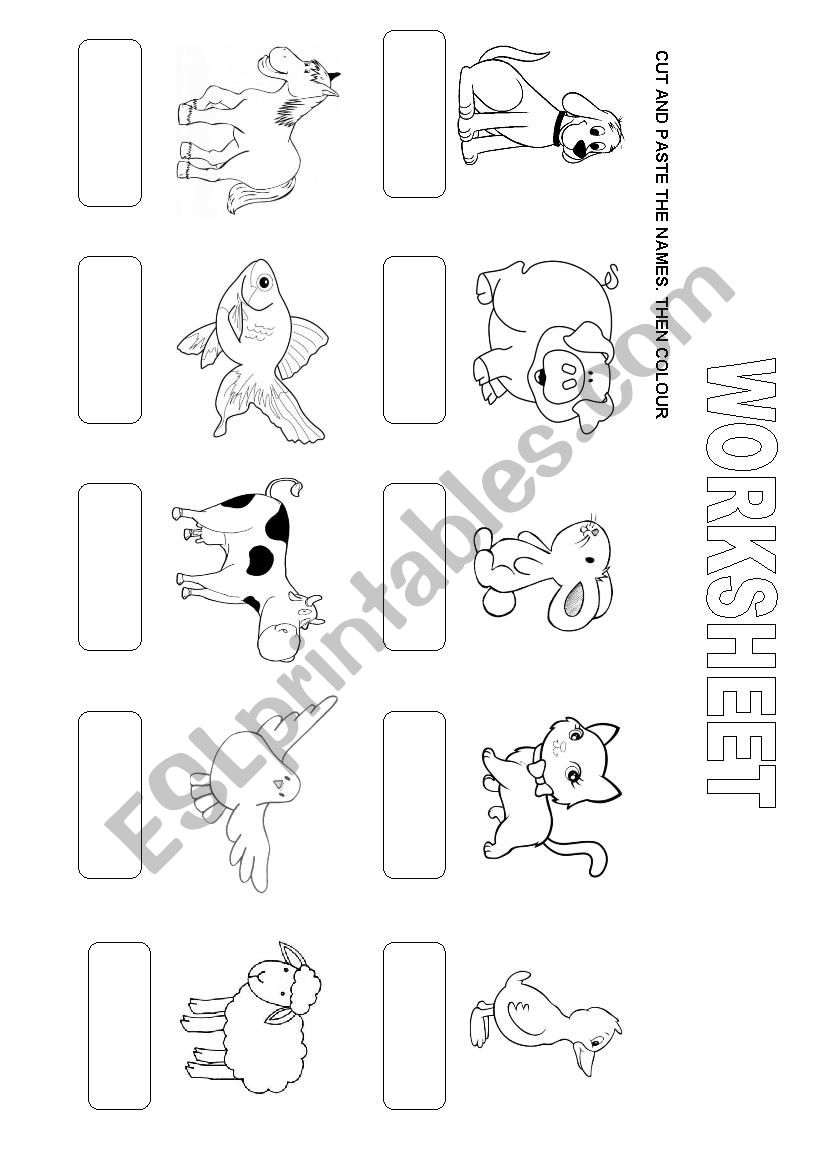 ANIMALS worksheet