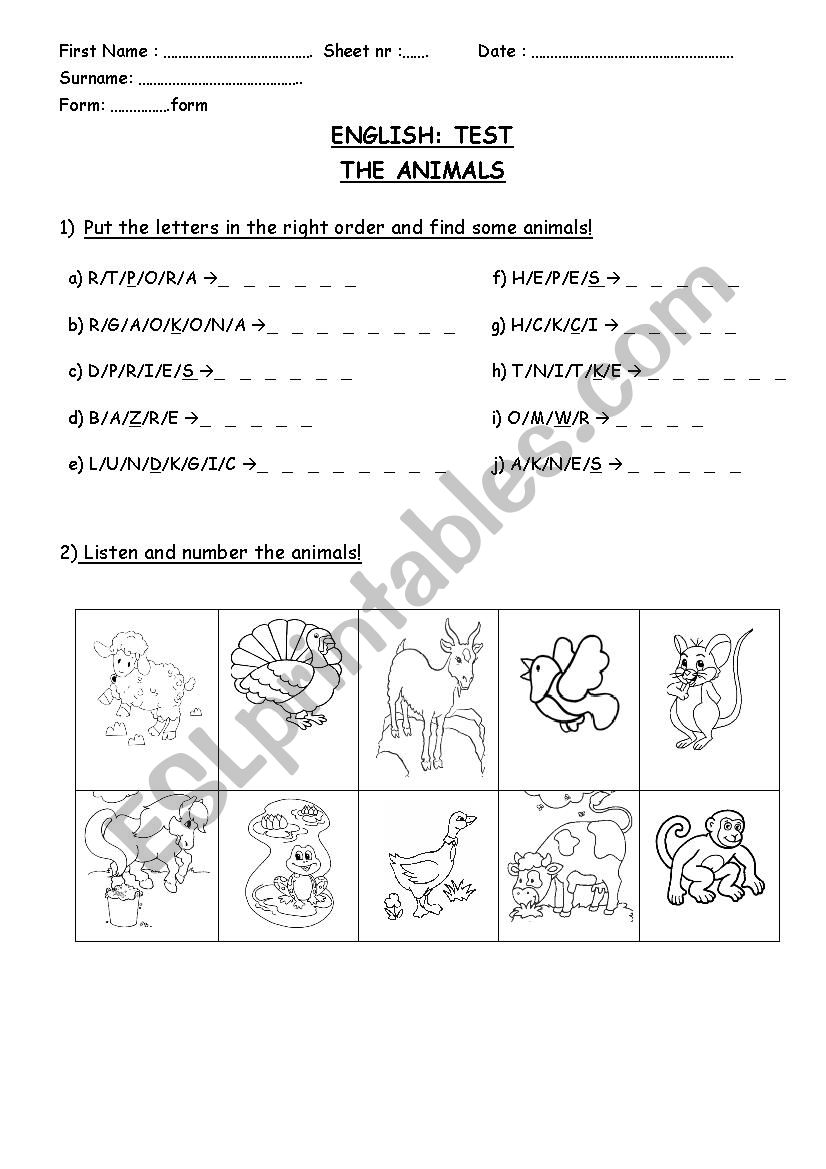 Animals Written test worksheet