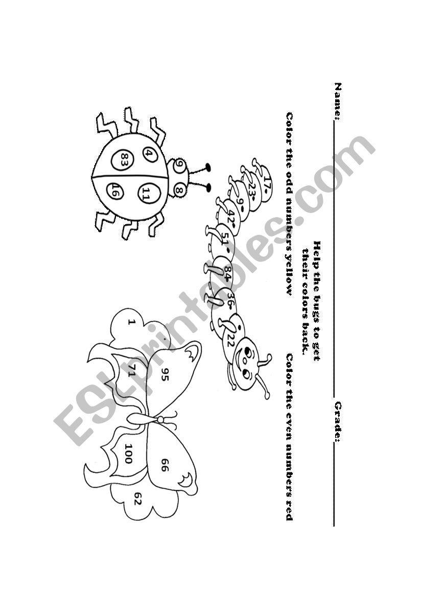 Odd and Even worksheet