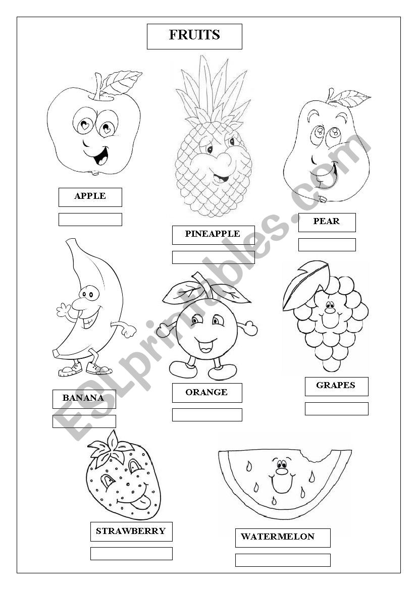 FRUITS worksheet