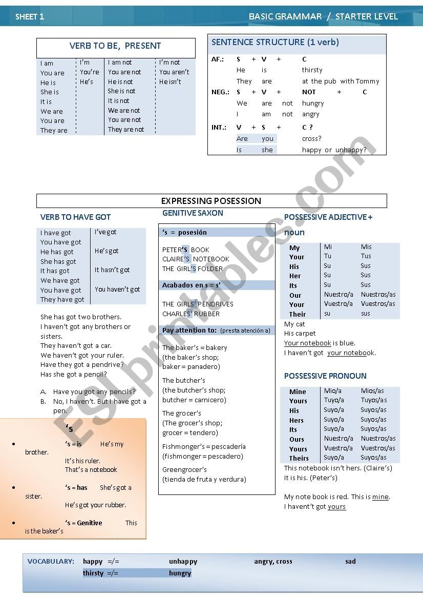 to-be-and-expressing-possession-esl-worksheet-by-angelsoc