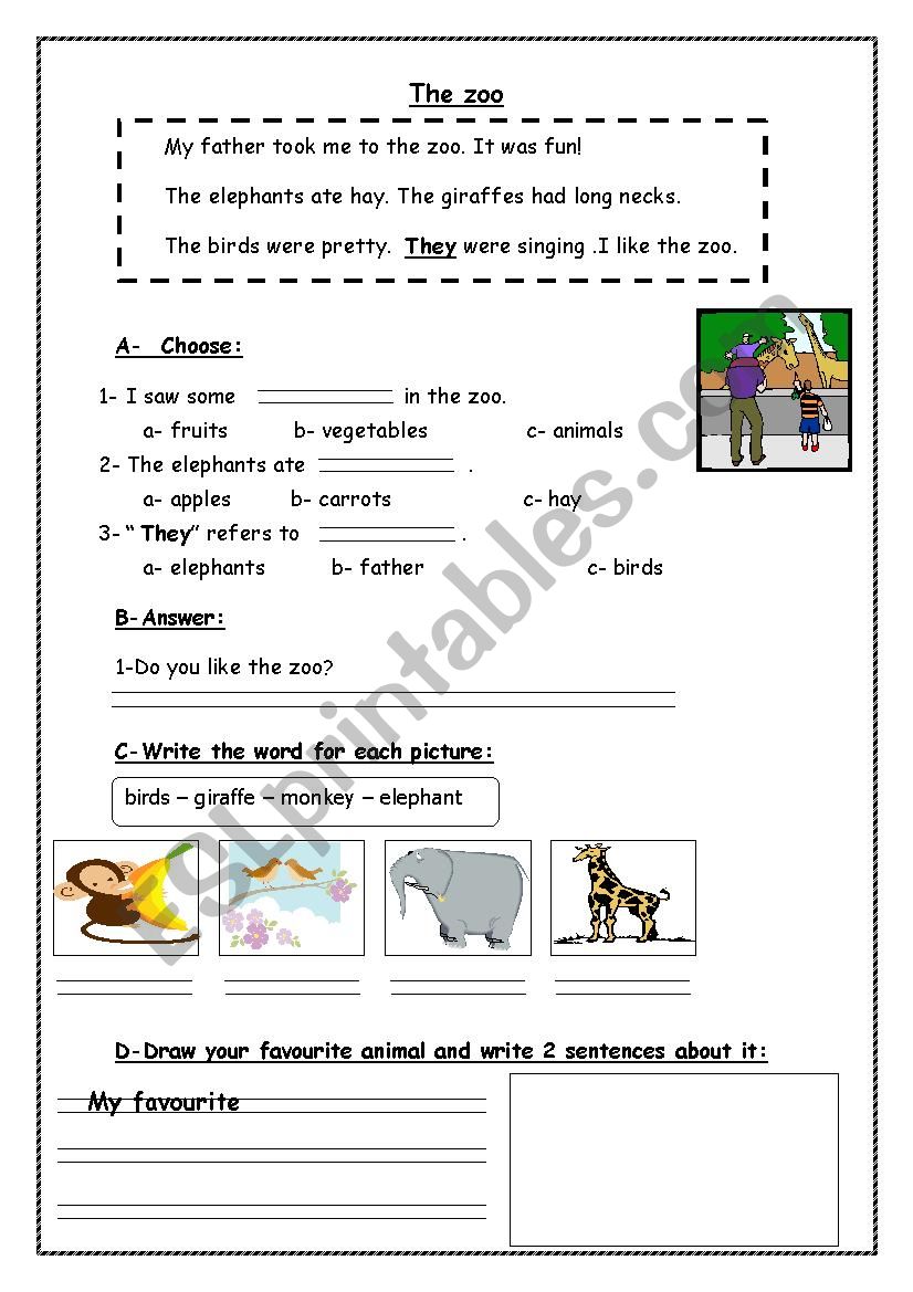 reading worksheet