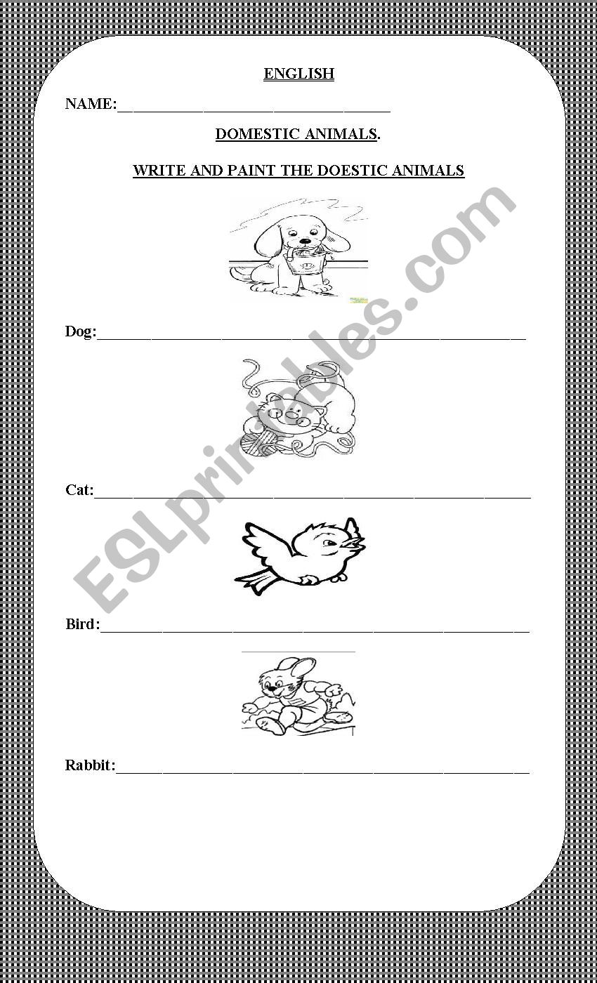 Domestic Animals worksheet