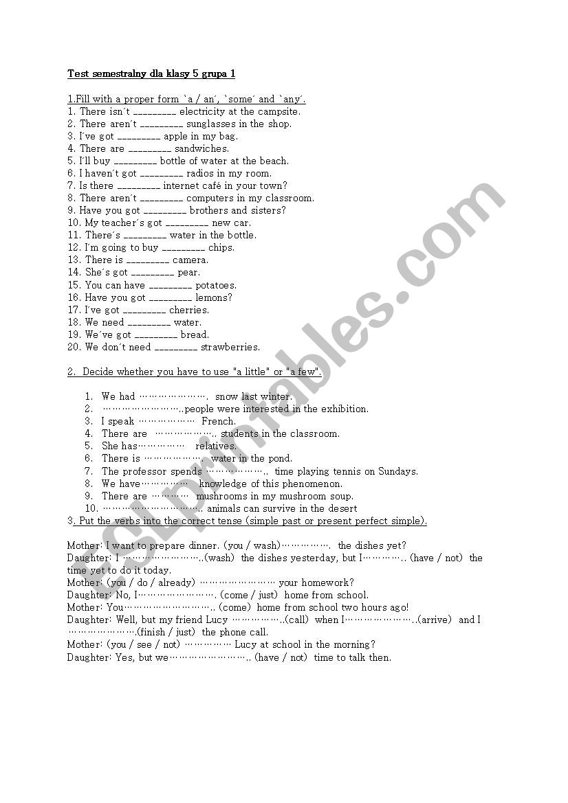 English test for fith grade revising  grammar