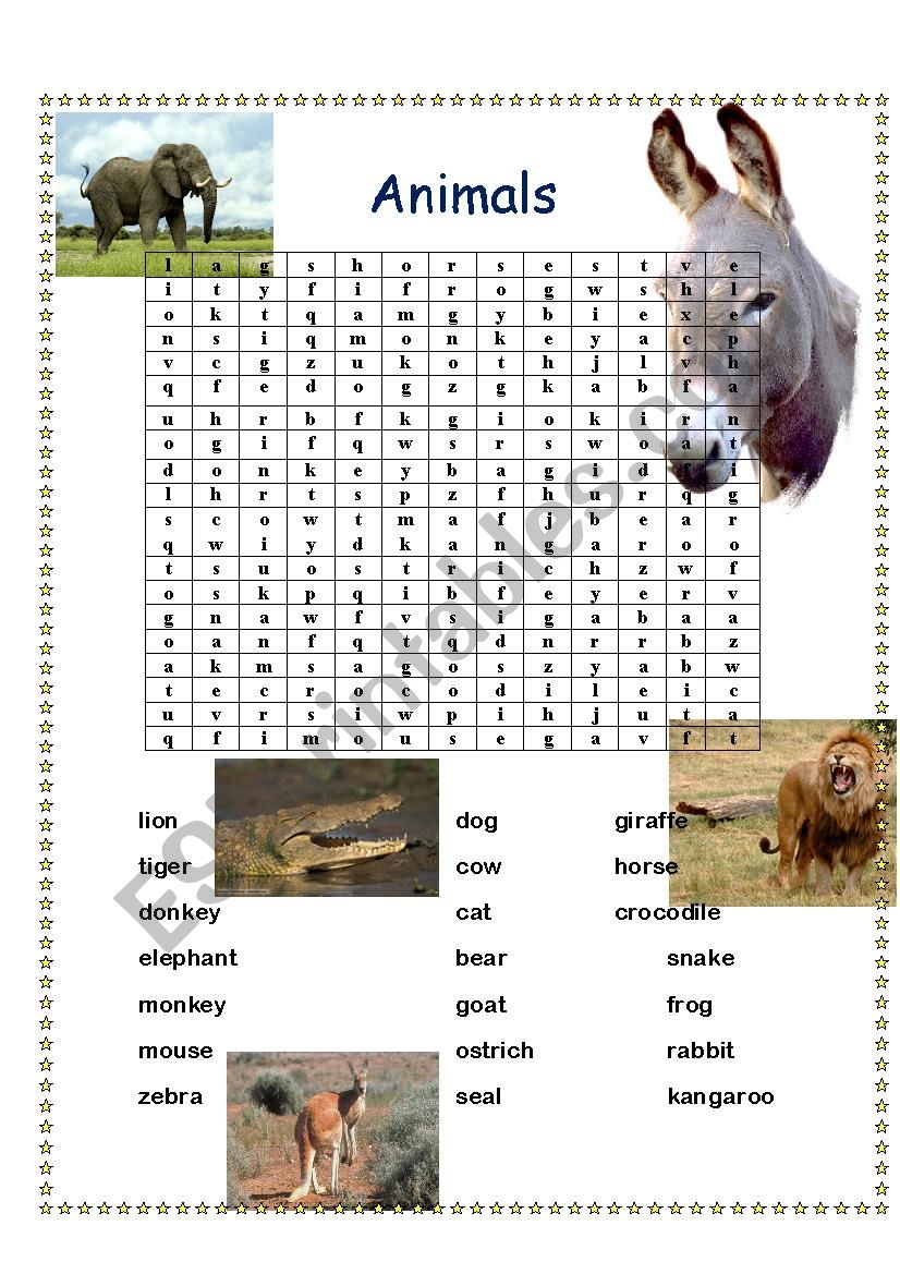 animals  worksheet