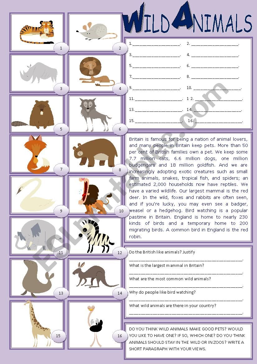 Wild Animals worksheet