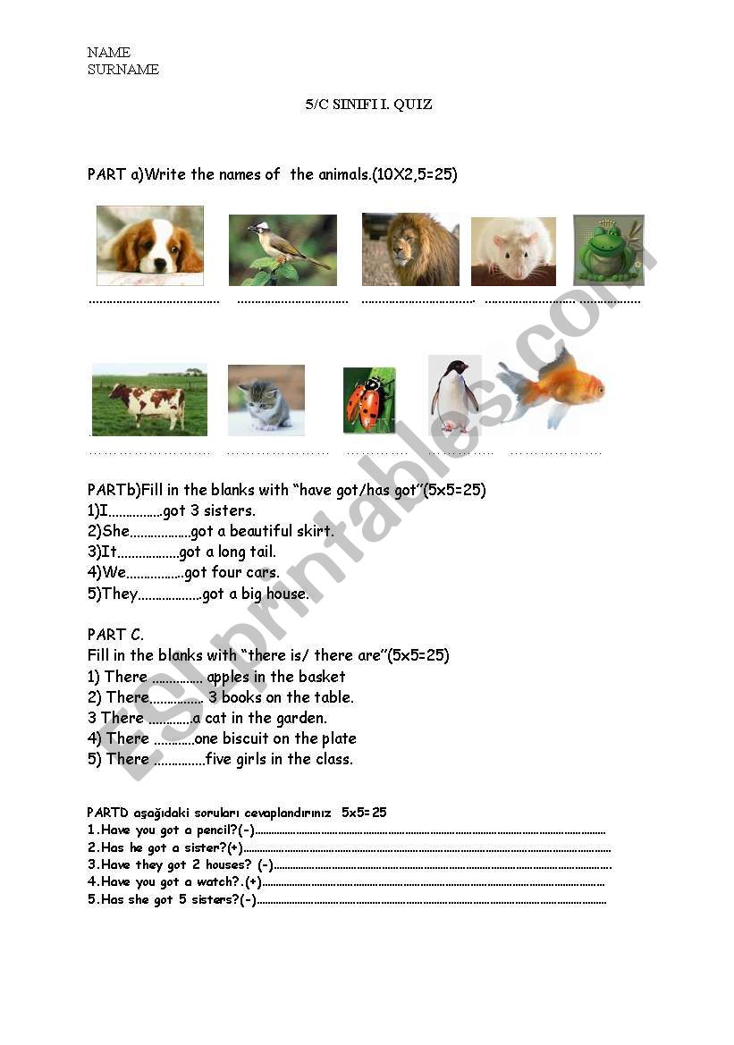 adjectives worksheet