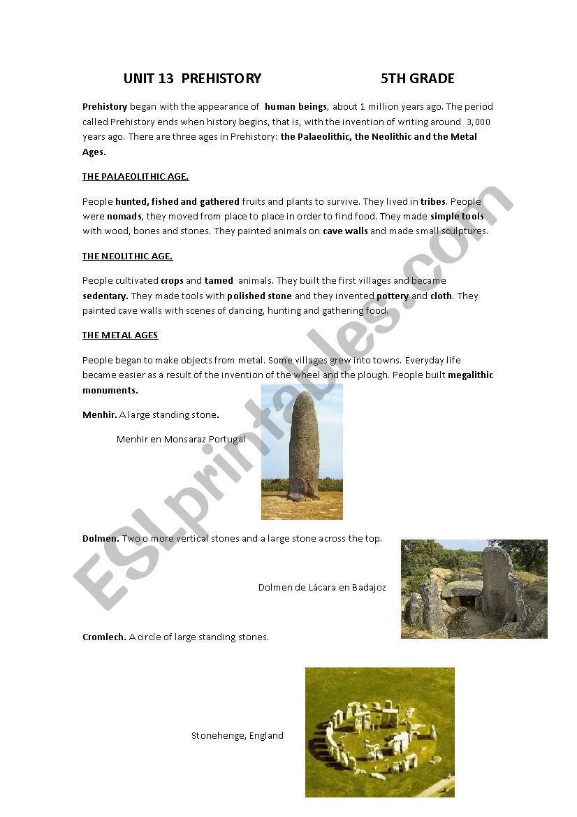 prehistory worksheet