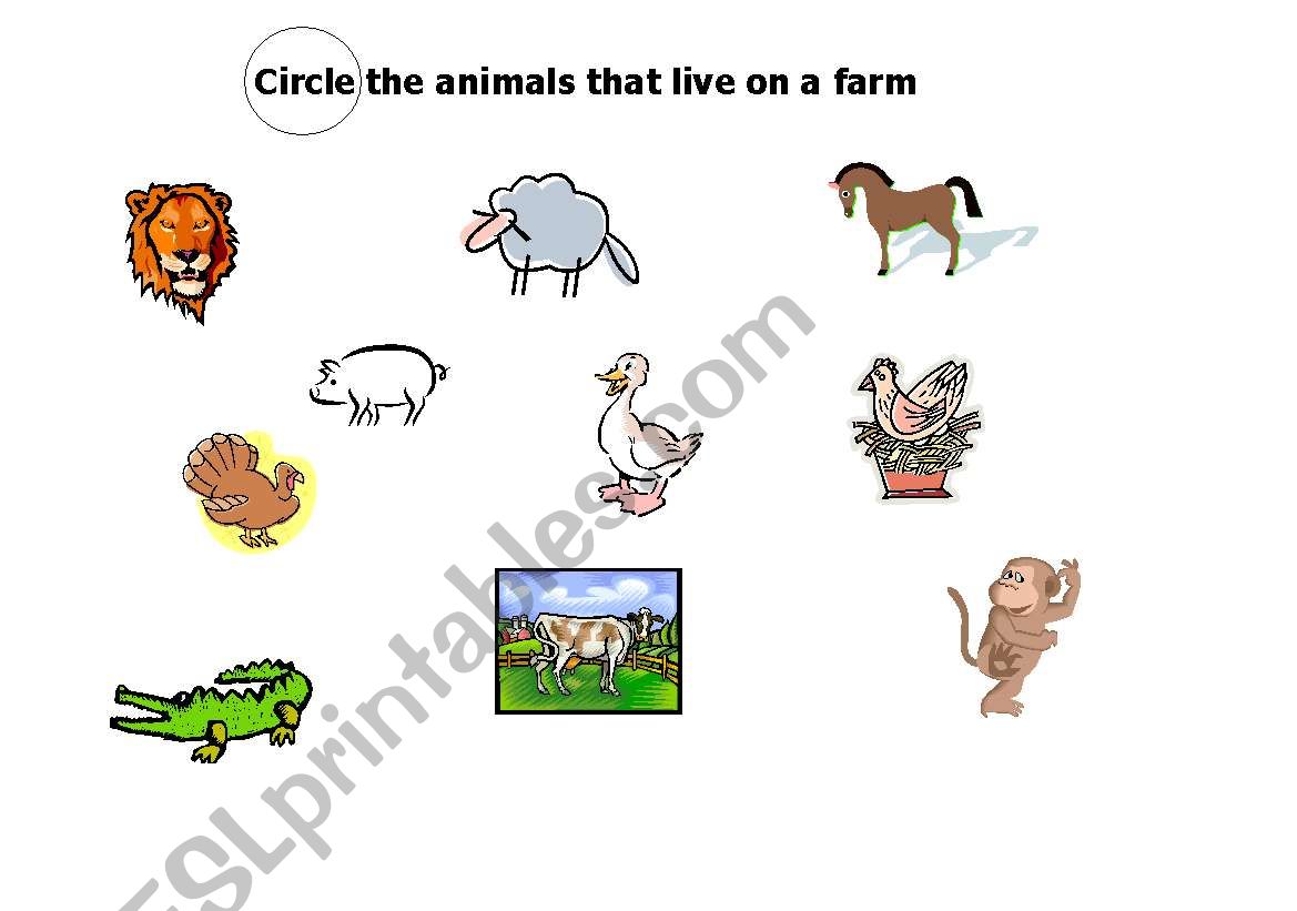 Farm Animals worksheet