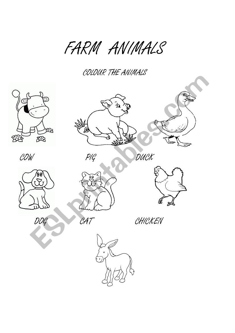 FARM ANIMALS worksheet