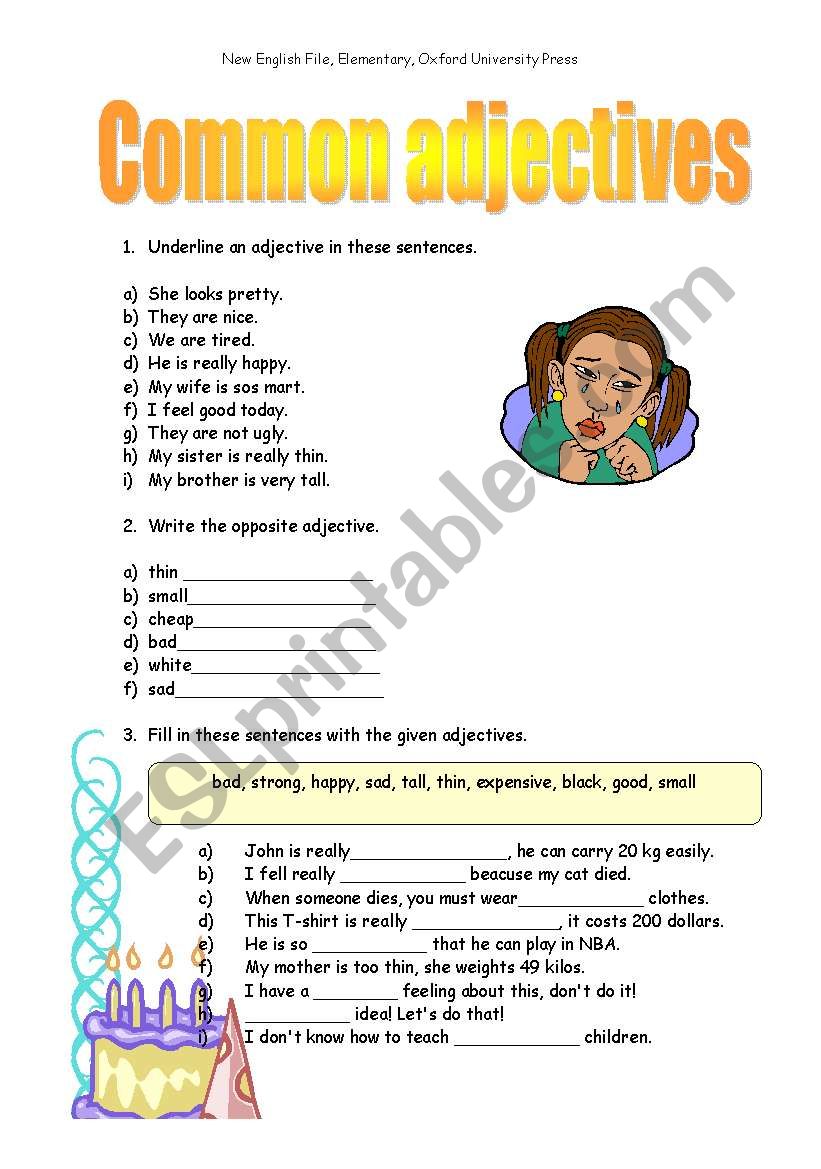 Common adjectives worksheet