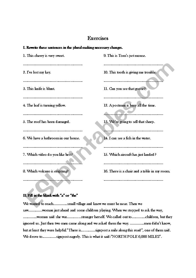 Recycling Plural and Articles worksheet