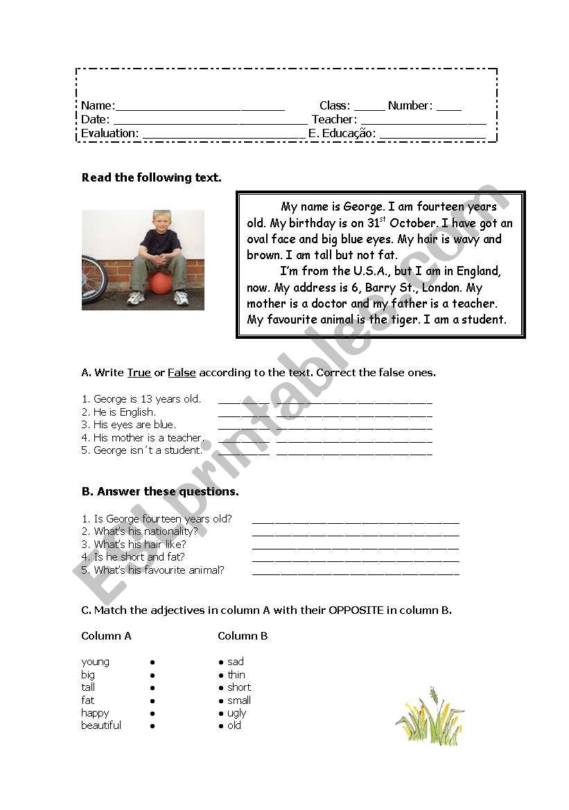 Physical Description worksheet