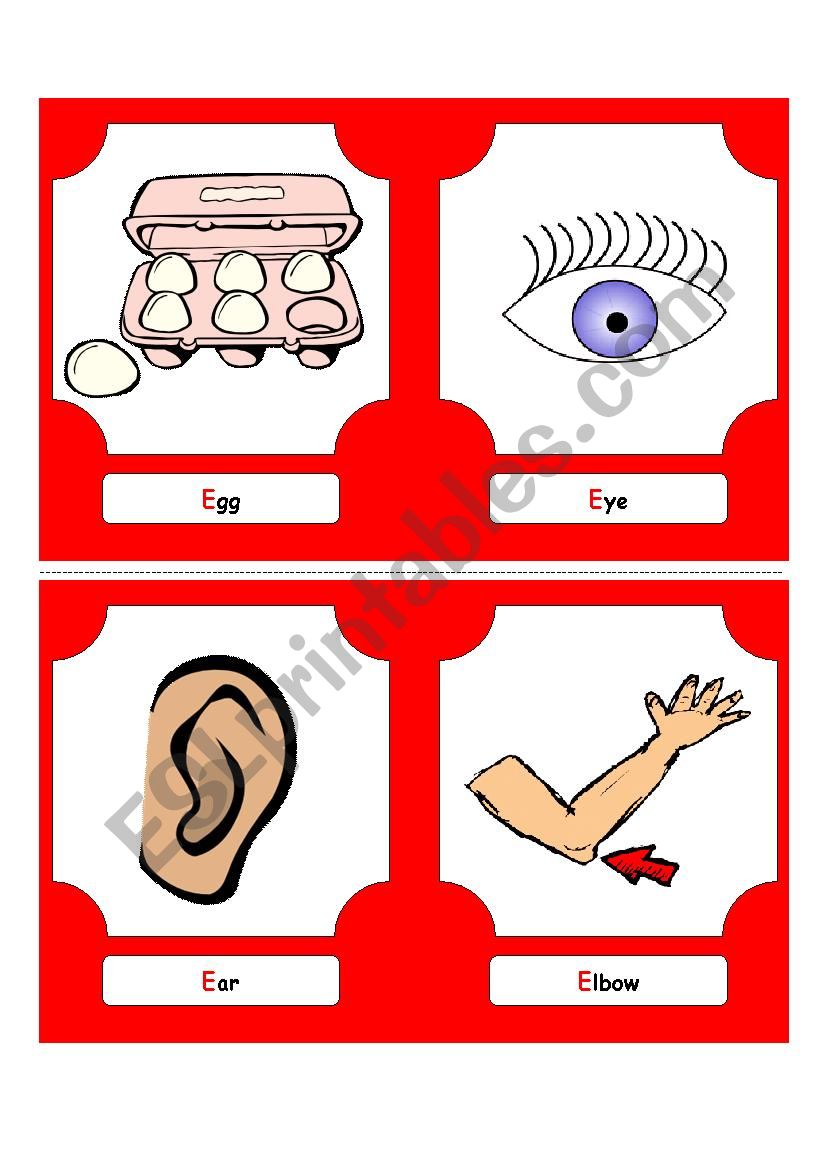 Alphabet Words - E (flash cards)