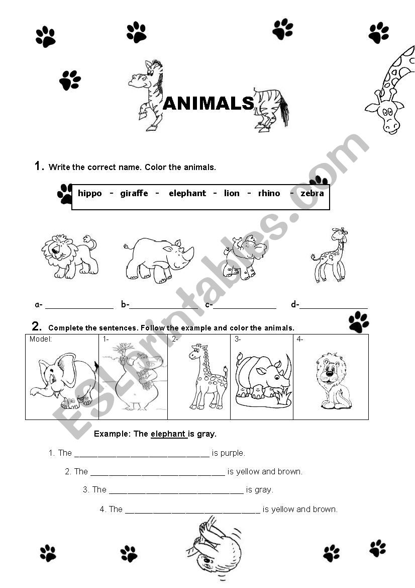 Animals worksheet