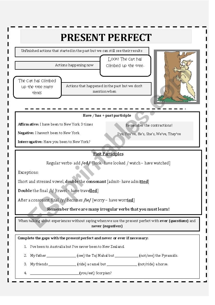 Present Perfect  worksheet