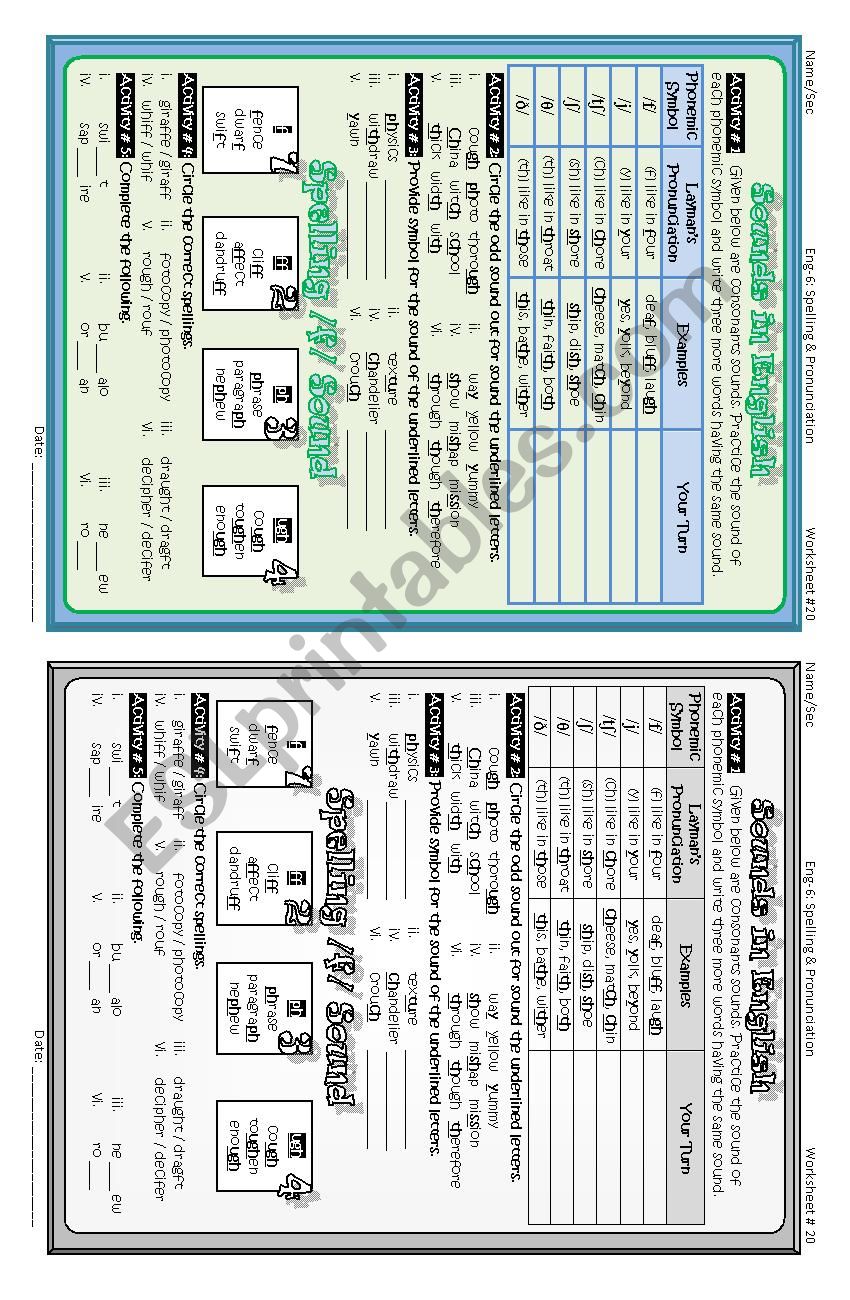 consonants and vowels  worksheet