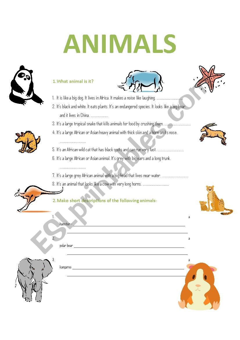 WILD ANIMALS worksheet