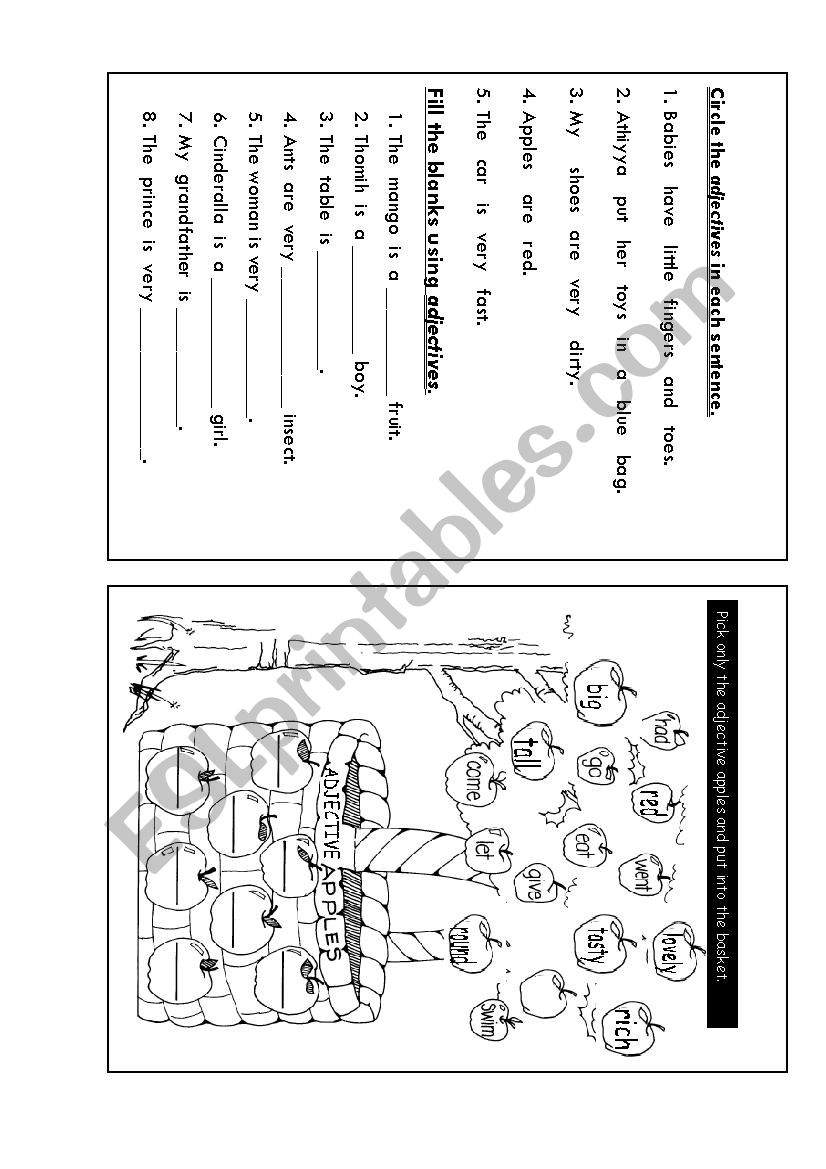 Describing words worksheet