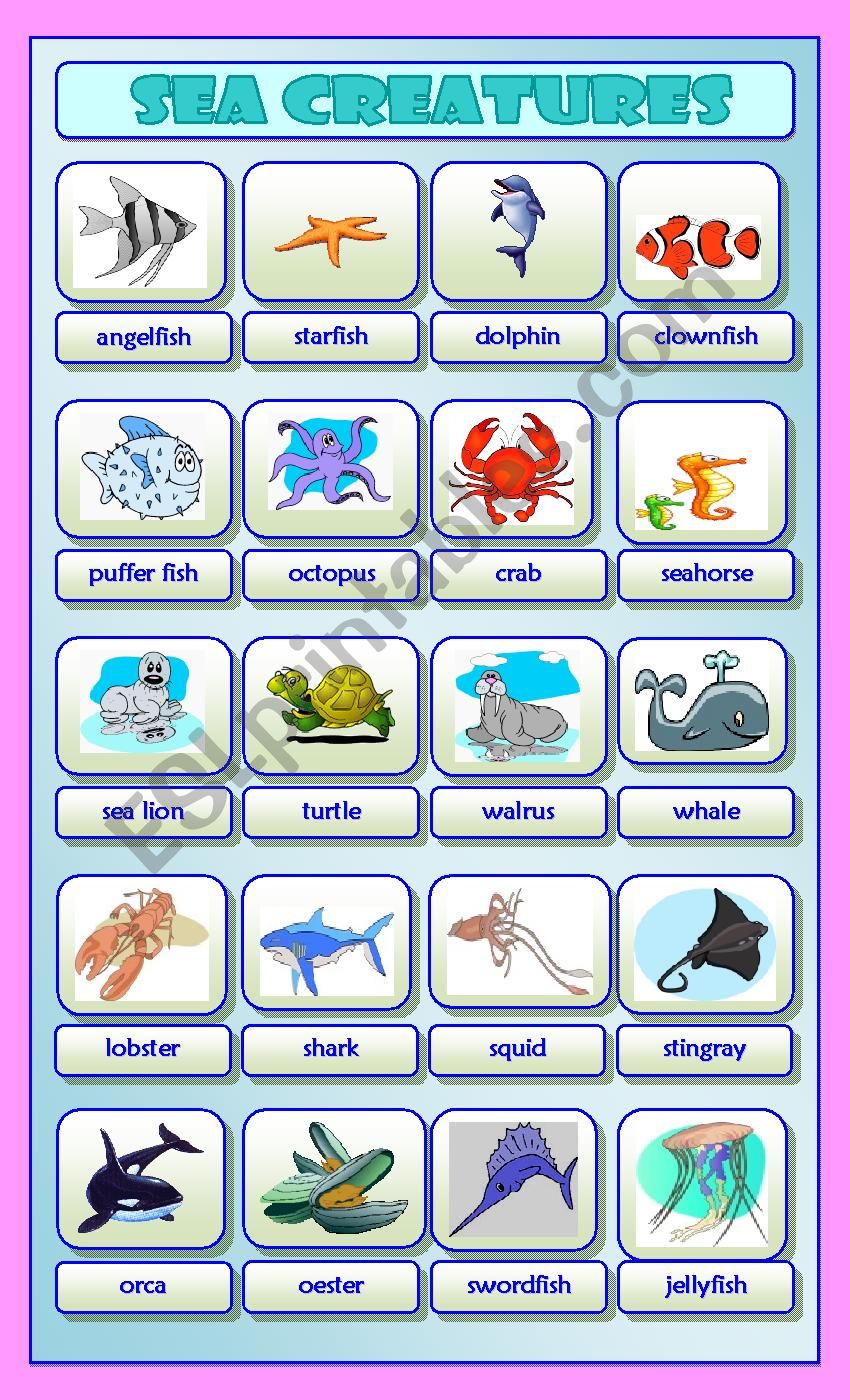 Sea Creatures worksheet