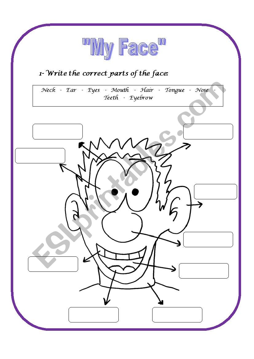 Parts of the Face worksheet