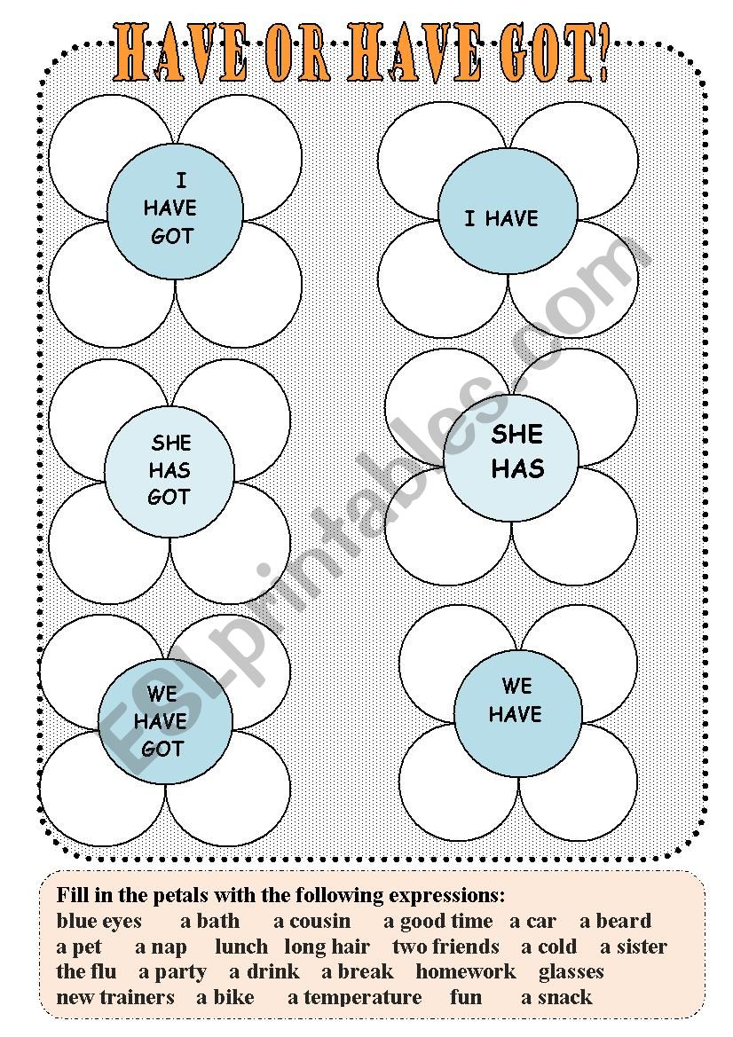 Have got or have collocations worksheet