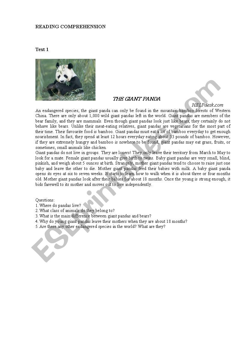 THE GIANT PANDA  worksheet