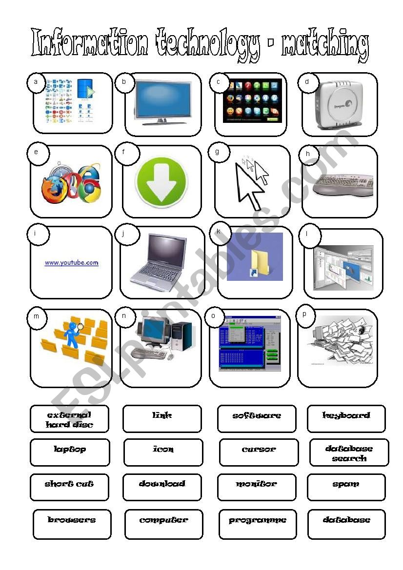 evolution-reading-worksheet