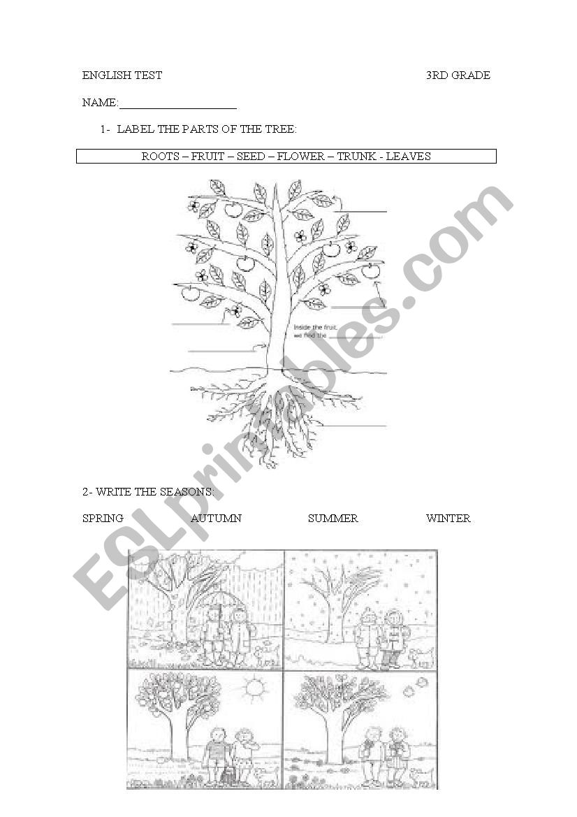 parts of the plants worksheet