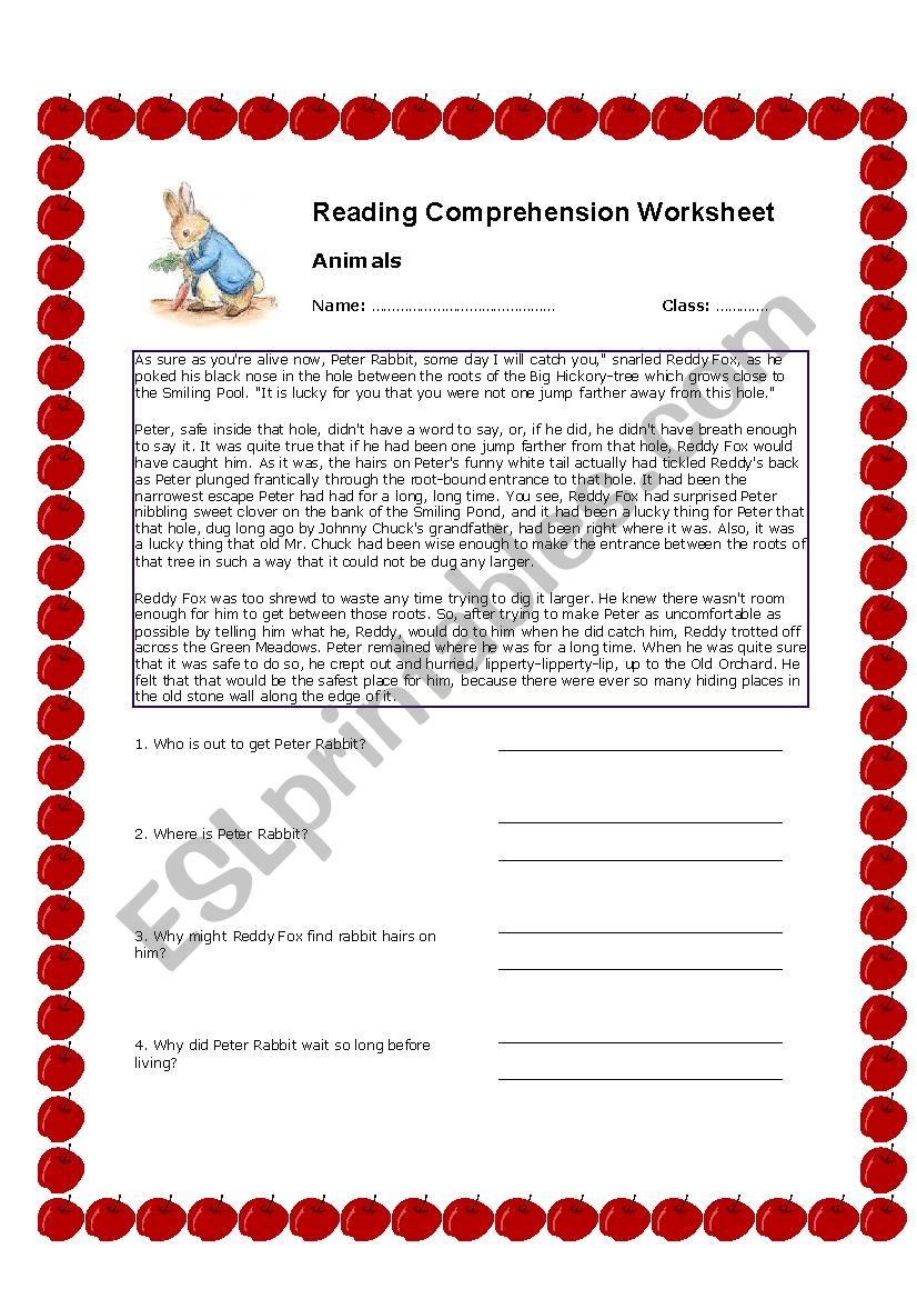 Peter Rabbit - Reading Comprehension Worksheet