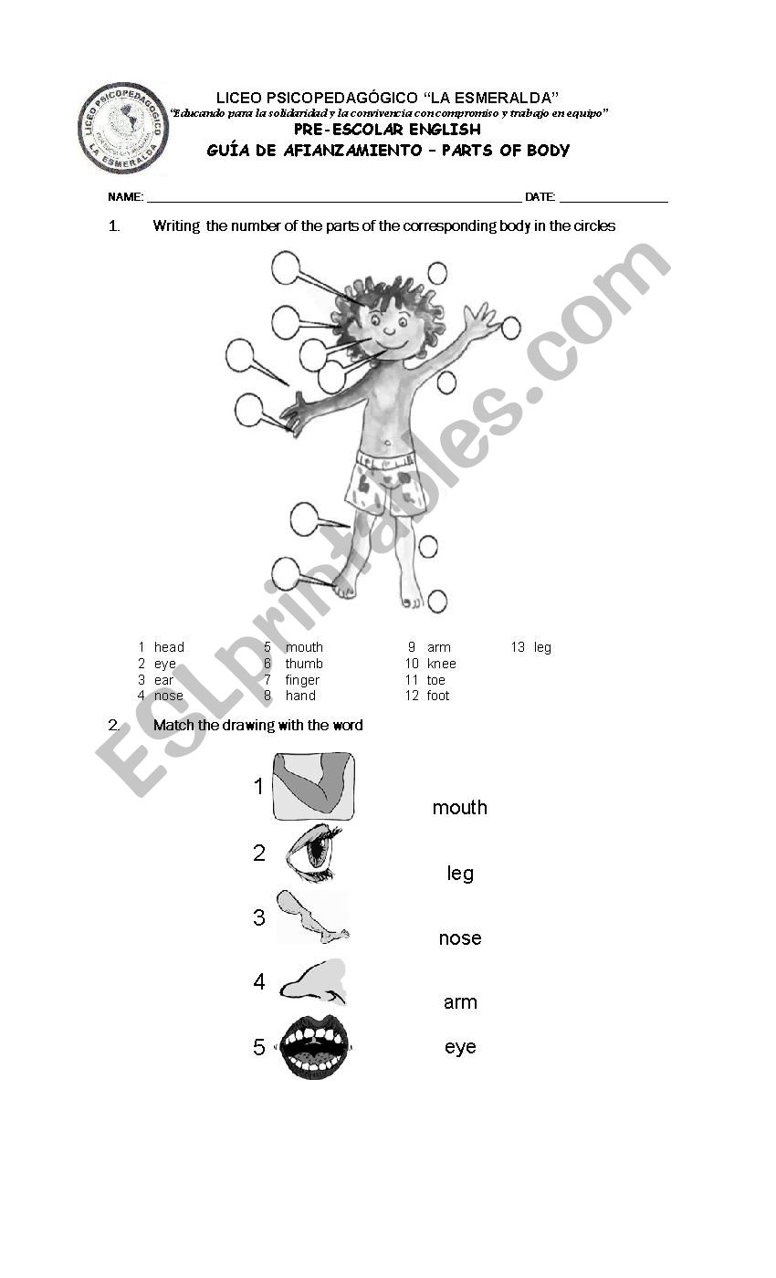 Parts of  Body worksheet
