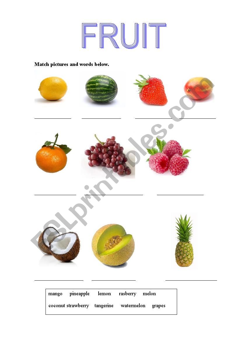 Food worksheet